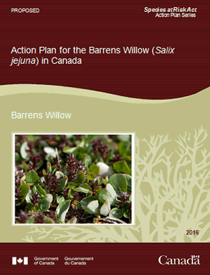 Cover of the publication