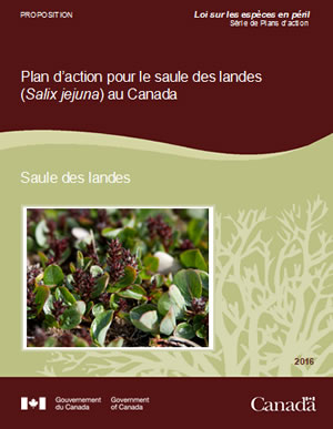 Couverture de la publication