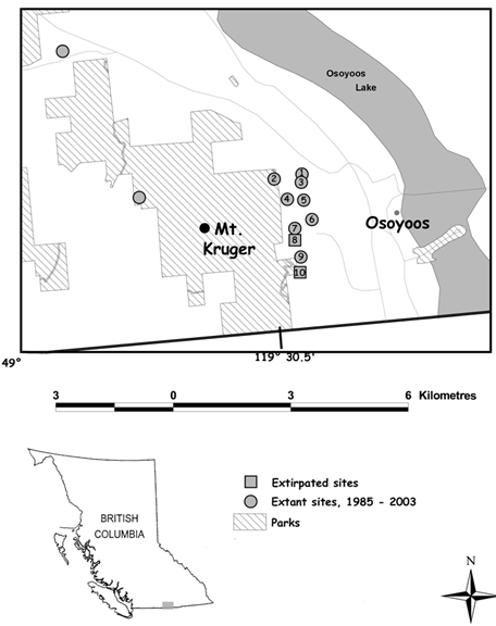 Figure 4. Canadian range of Phacelia ramosissima.Numbered symbols represent Mount Kruger east slope subpopulations. The west slope and north slope populations are also indicated but without numbers.