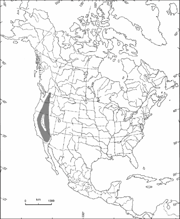 Figure 3. Répartition du Phacelia ramosissima var. ramosissima en Amérique du Nord.