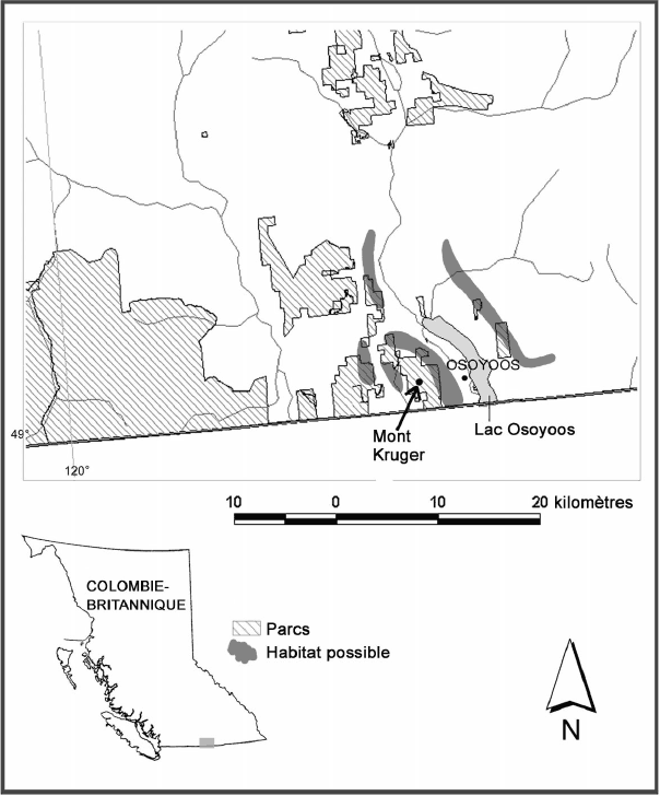 Figure 5. Habitat possible de Phacelia ramosissima dans le sud de la vallée de l’Okanagan en Colombie-Britannique. Tous les habitats possibles ont été fouillés, à l’exception du polygone nord-ouest. 