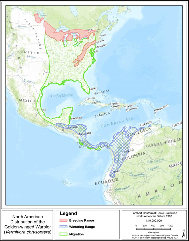Map showing year-round range of the Golden-winged Warbler