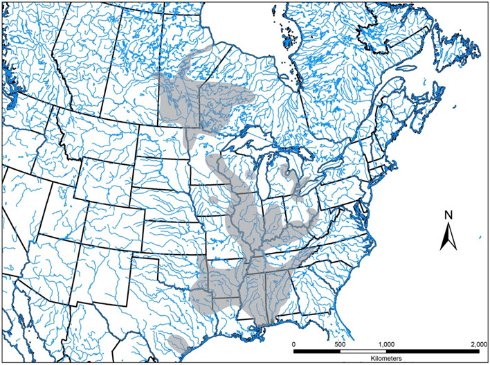 Aire de répartition mondiale du dard de rivière