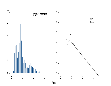 Deux graphiques; celui de gauche indique la fréquence selon l’âge et le graphique de droite indique la transformation logarithmique des fréquences, droite de régression, taux de mortalité totale calculé (Z) et valeurs de R2 d’après les relevés scientifiques à la palangre dans les zones 12 et 13 en 2003 et 2004.