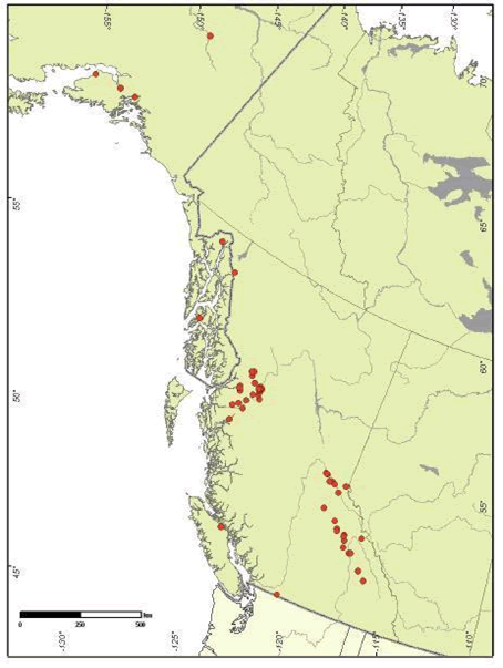 La figure 3 illustre l'aire de répartition canadienne du néphrome cryptique; 45 populations sont présentes sur la côte et dans l'est de la Colombie Britannique.