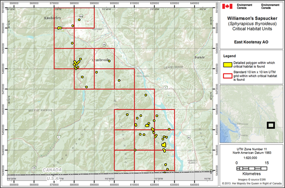 Map of East Kootenay