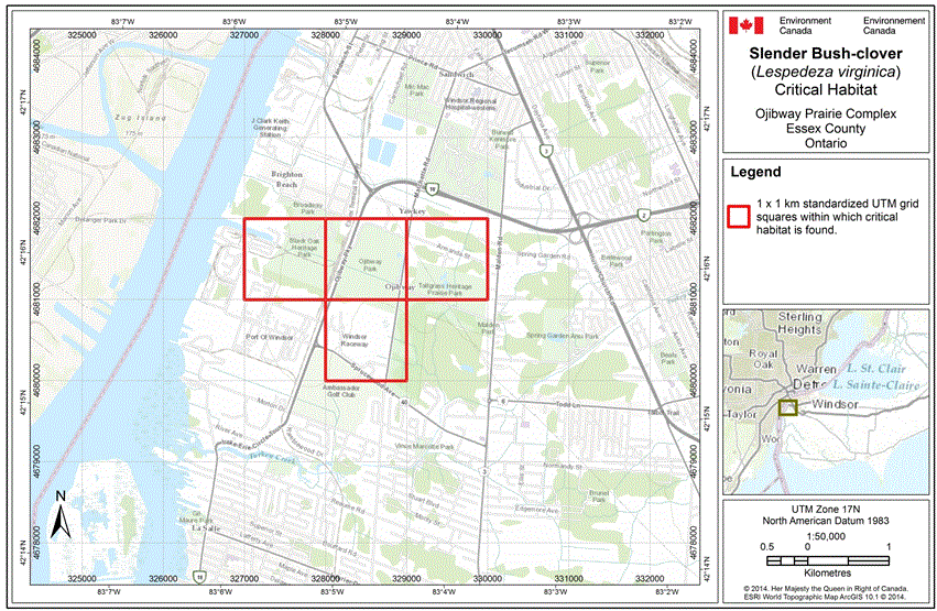 Map: Critical habitat for the Slender Bush-clover - Ojibway Prairie Complexe - Essex County Ontario.