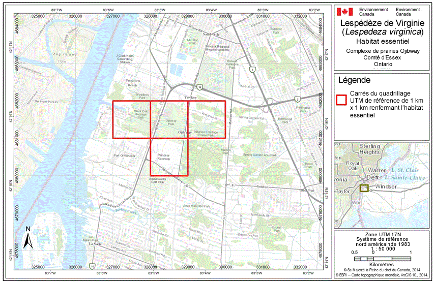 Carte : Habitat essentiel de la lespédèze de Virginie - Complexe de prairie Ojibway - Compté d'Essex Ontario