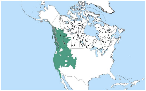 Map of the global distribution of the Western Toad (see long description below).