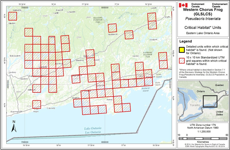 Critical habitat in the Eastern Lake Ontario Area, Ontario