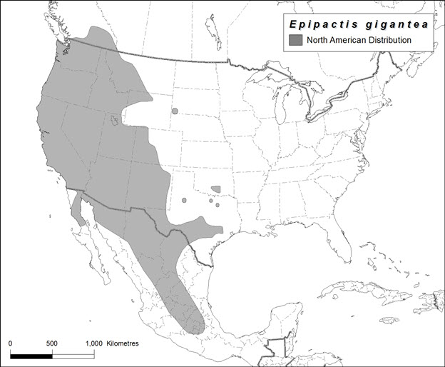 Map of North America