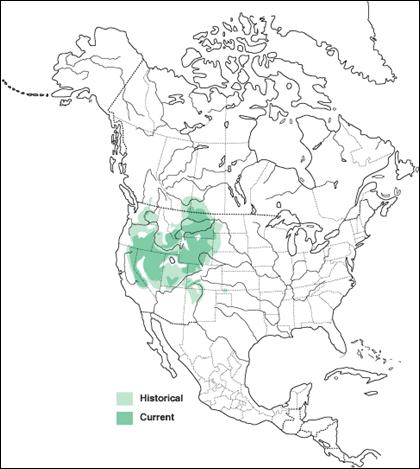 Figure 3. Distribution of Greater Sage-Grouse (from Schroeder et al. 1999).