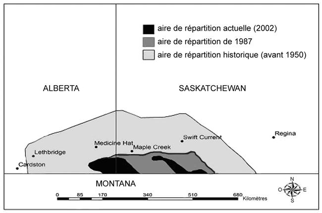 Figure 4. Répartition actuelle et historique du Tétras des armoises en Alberta et en Saskatchewan (adapté d’Aldridge et Brigham, 2003).