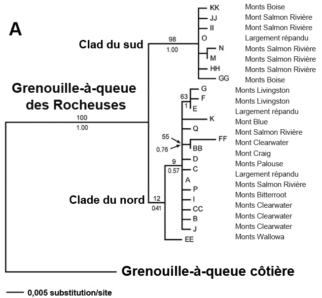 Créer sur une surface verticale : quels bénéfices pour les enfants? - Au  son des grillons