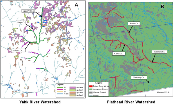 Figure 10. Wildlife Habitat Areas for Rocky Mountain Tailed Frogs established inthe Yahk River watershed and the Flathead River watershed.(See long description below)