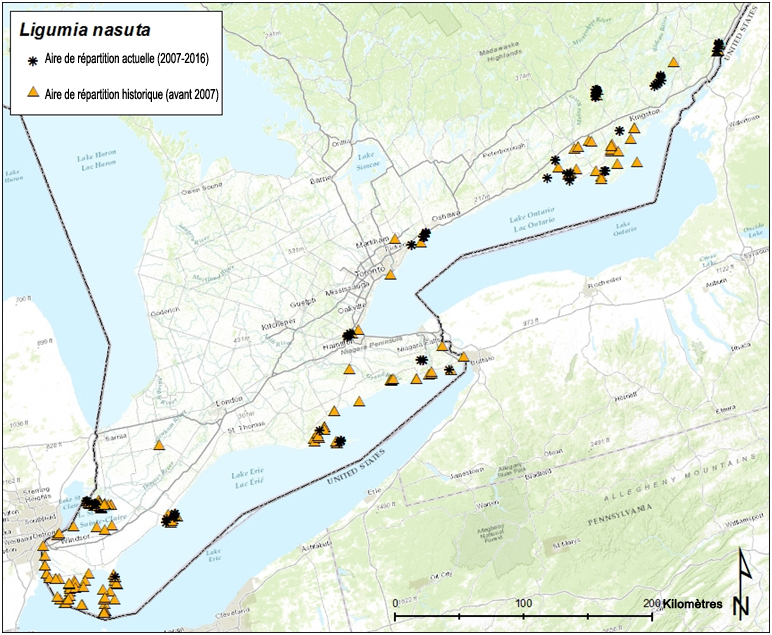 Aire de répartition historique (de 1894 à 2006) et actuelle  (de 2007 à 2015) de la ligumie pointue
