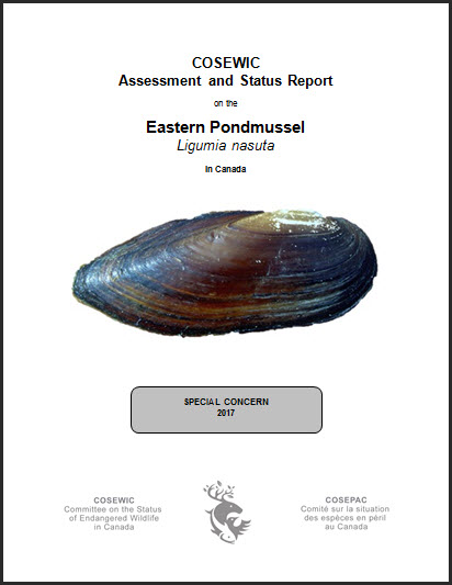 COSEWIC Assessment and status report on the Eastern Pondmussel