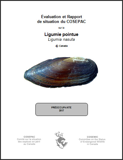 Évaluation et rapport de situation du COSEPAC sur la Ligumie pointue