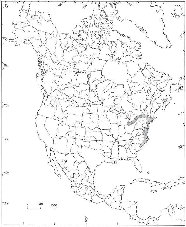 North American distribution (shaded area) of  Eastern Pondmussel