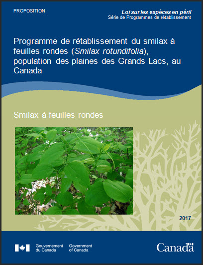 Programme de rétablissement du smilax à feuilles rondes