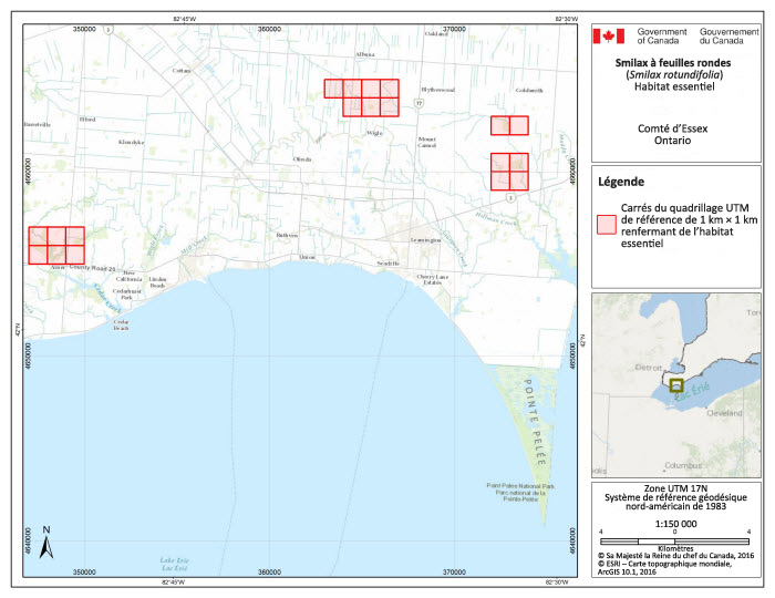 Carrés du quadrillage renfermant de l'habitat essentiel dans le comté d'Essex