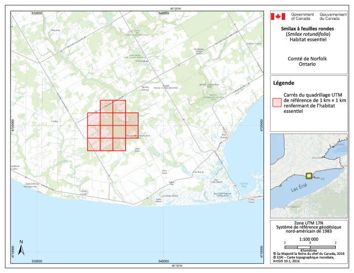 Carrés du quadrillage renfermant de l'habitat essentiel dans le comté de Norfolk.