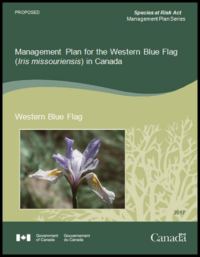 Image of document cover