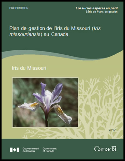 Photo de couverture de document