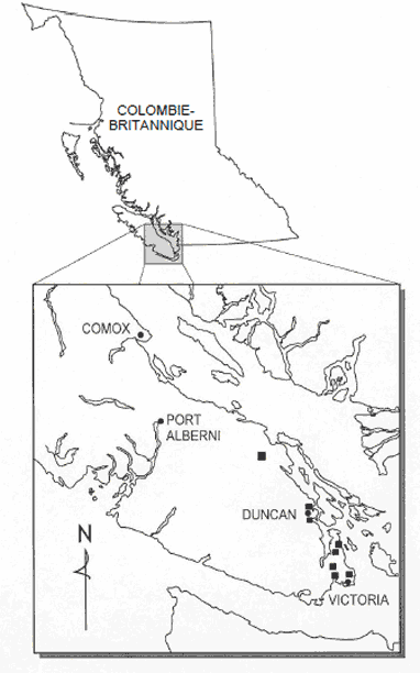 Figure 4. Activités de recherche sur l’Epilobium torreyi. Les carrés noirs indiquent l’emplacement d’un ou de plusieurs sites recensés.