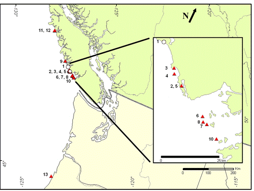Figure 2. Global distribution of Heterodermia sitchensis. Site #1 shows the holotype locality visited in 1983; shaded (red) triangles are localities visited from 2000-2004; and the open circles (sites #1 and #5) are extirpated localities. Numbers correspond to site numbers from Table 1.