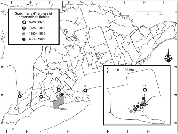 Figure 3 : Répartition du Viola pedata dans le Sud de l'Ontario.