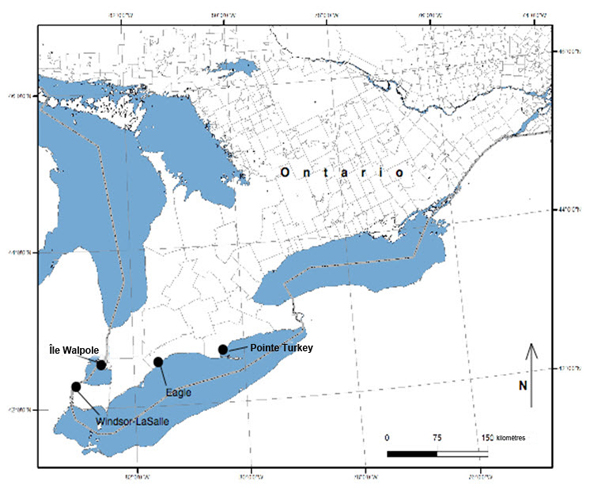 Carte montrant la répartition de l’alétris farineux (voir longue description ci-dessous)