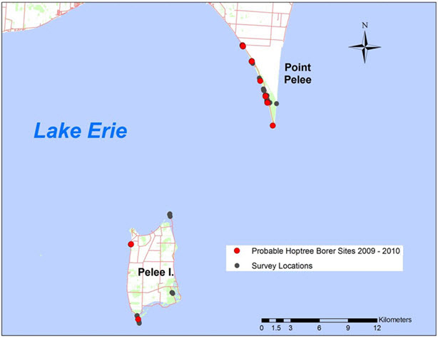 Map showing the suspected Canadian distribution of Hoptree Borer (see long description below)