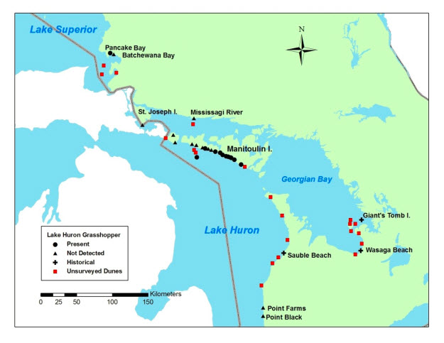 Map of distribution of Lake Huron Grasshopper (see long description below)