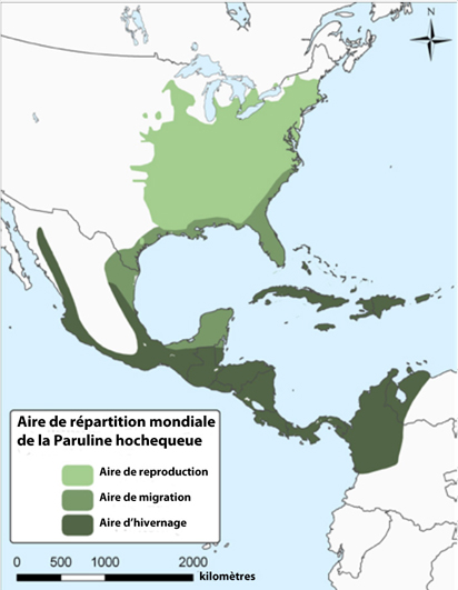 Map showing the Canadian distribution of Sheathed Slug (voir longue description ci-dessous)