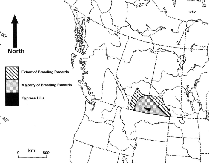 Map of distribution of McCown's Longspur (see long description below)