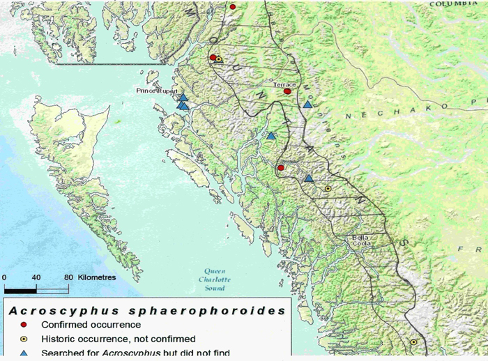 Map showing the distribution of Mountain Crab-eye (see long description below)