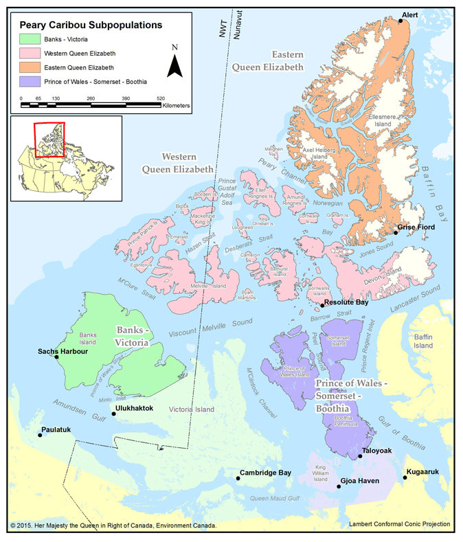 Map showing the global distribution of Peary Caribou (see long description below)