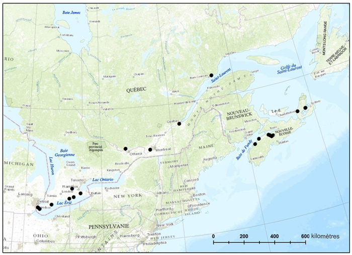 Carte montrant la répartition dans l’est du Canada du fissident pygmée (voir longue description ci-dessous)