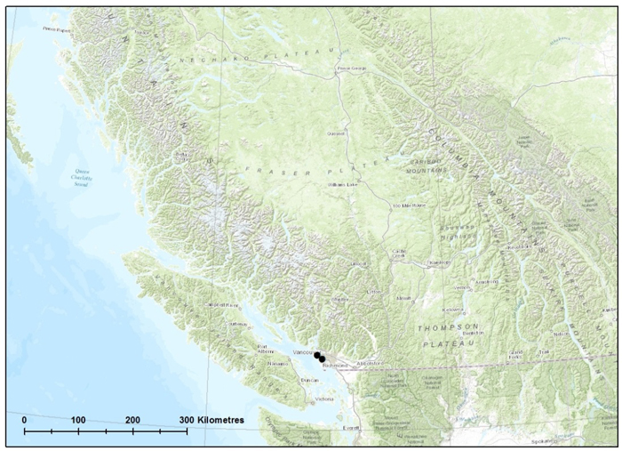 Map of western distribution of Pygmy Pocket Moss (see long description below)