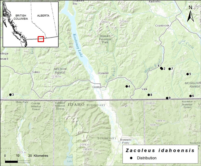 Map showing the Canadian distribution of Sheathed Slug (see long description below)