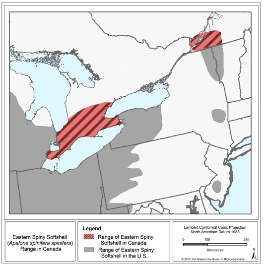 Map showing the Canadian distribution of Spiny Softshell (see long description below)