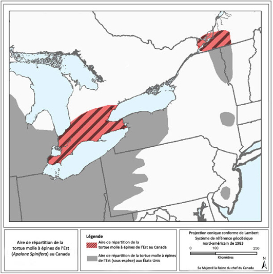 Map showing the distribution of Wrinkled Shingle Lichen (voir longue description ci-dessous)