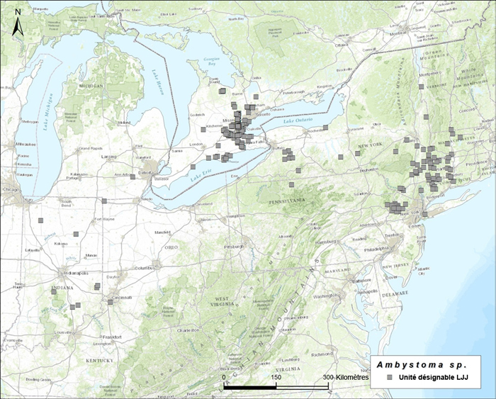 Carte montrant la répartition mondiale des Ambystoma unisexués (voir longue description ci-dessous)