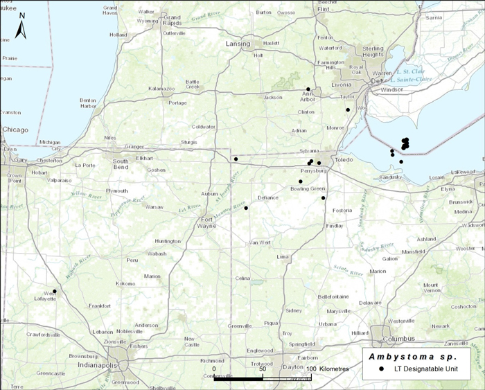 Map of global distribution Small-mouthed Salamander (see long description below)