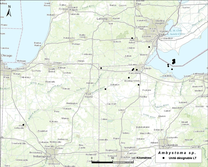 Carte montrant la répartition mondiale des Ambystoma unisexués (voir longue description ci-dessous)