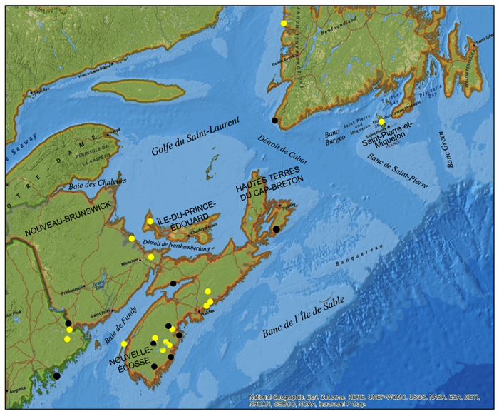 Map showing the global distribution of Red Crossbill (voir longue description ci-dessous)