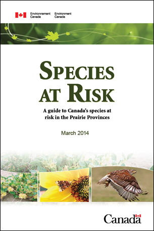 Cover photo of Species at Risk - A guide to Canada's species at risk in the Prairie Provinces – March 2014