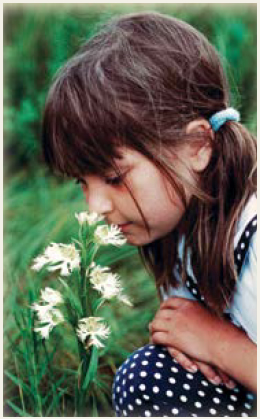 A young girl in pigtails is kneeling down in the tall grass, smelling a light coloured flower.