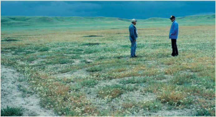 Two men are standing talking in a pasture